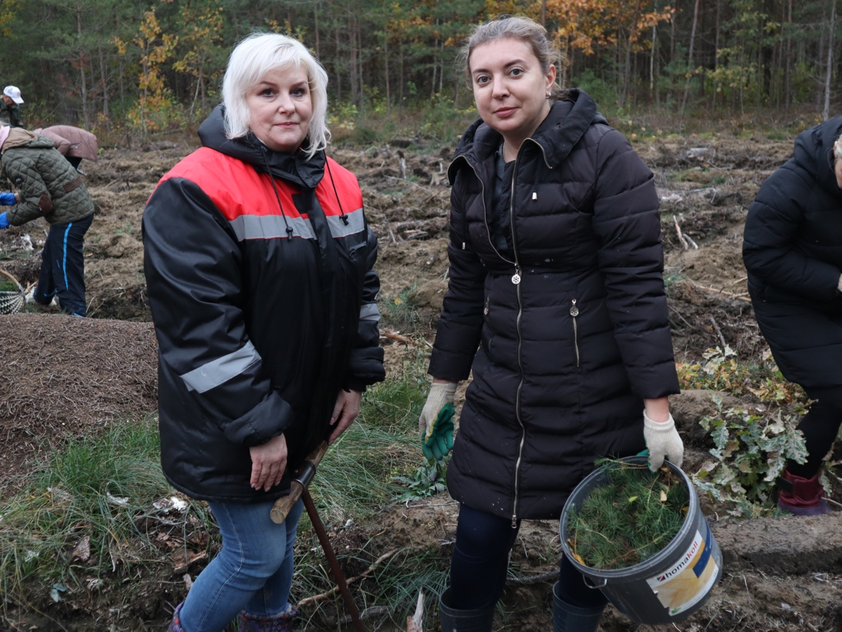 posadka-lesa-rajispolkom-13