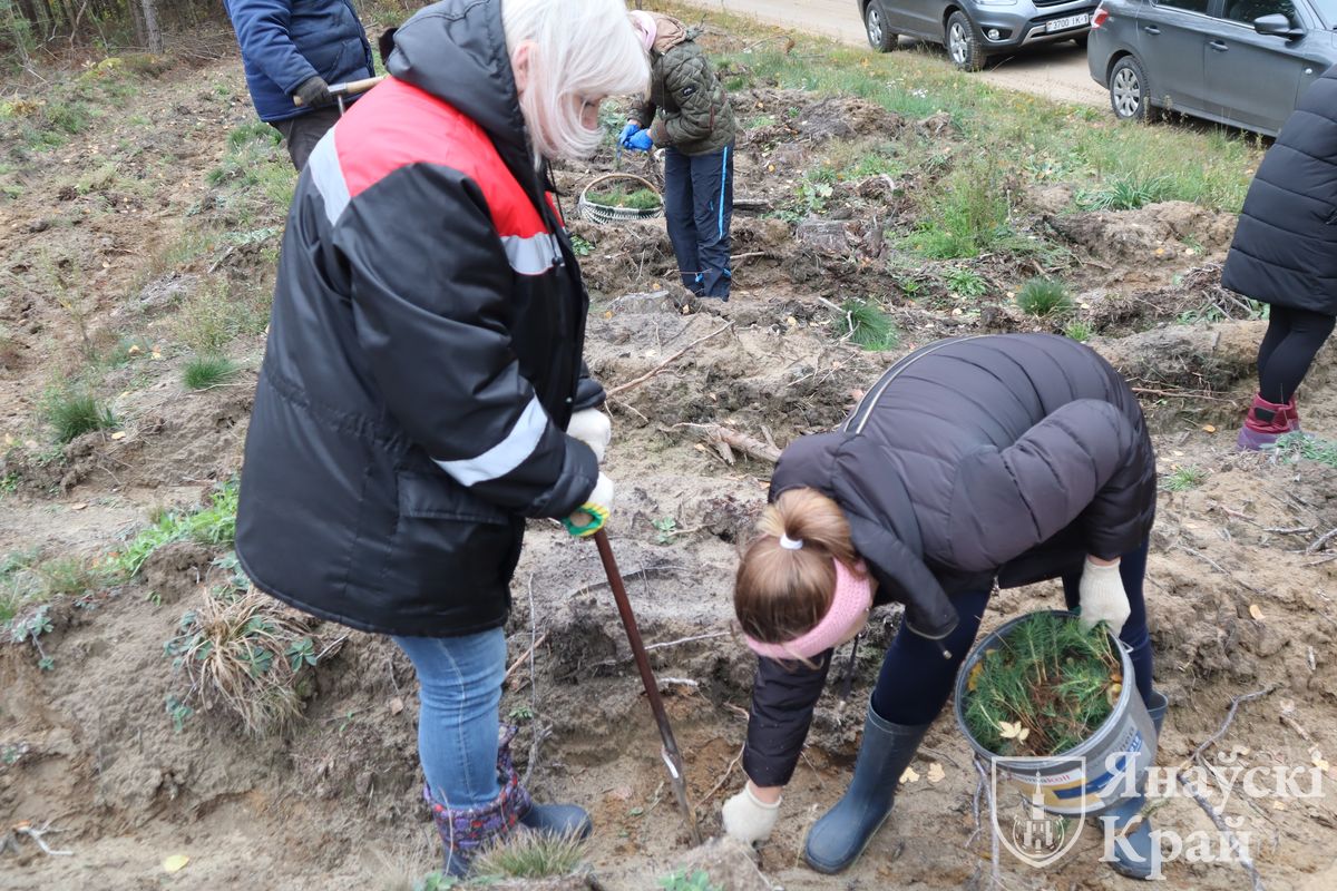 posadka-lesa-rajispolkom-5