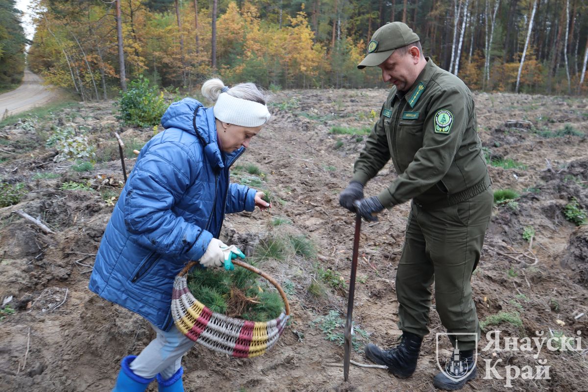 posadka-lesa-rajispolkom-8